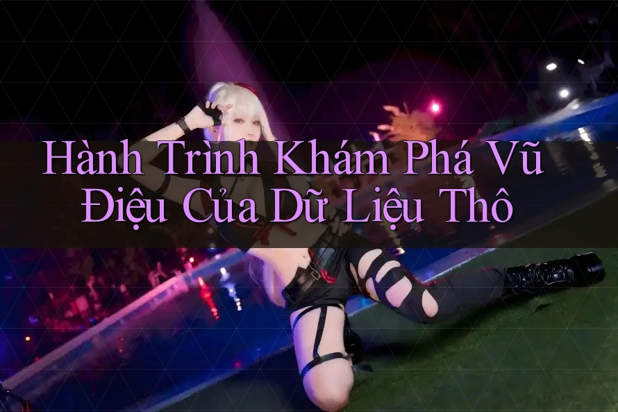 Hành Trình Khám Phá Vũ Điệu Của Dữ Liệu Thô