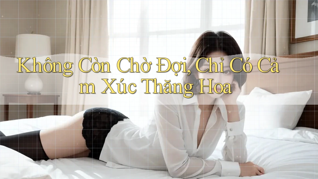 Không Còn Chờ Đợi, Chỉ Có Cảm Xúc Thăng Hoa Không Còn Chờ Đợi, Chỉ Có Cảm Xúc Thăng Hoa