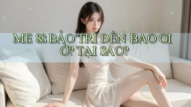 me 88 bảo trì đến bao giờ tại sao