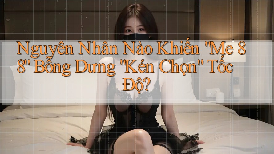 Nguyên Nhân Nào Khiến “Me 88” Bỗng Dưng “Kén Chọn” Tốc Độ? Nguyên Nhân Nào Khiến “Me 88” Bỗng Dưng “Kén Chọn” Tốc Độ?